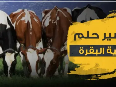  تفسير رؤية أضحية البقرة بالمنام وكذلك قطيع من الأبقار لجميع أفراد الأسرة - وكالة ستيب نيوز