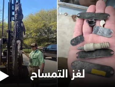 شاهد بالصور|| صيد تمساح عملاق يكشف لغز عمره 24 عاماً - وكالة ستيب نيوز