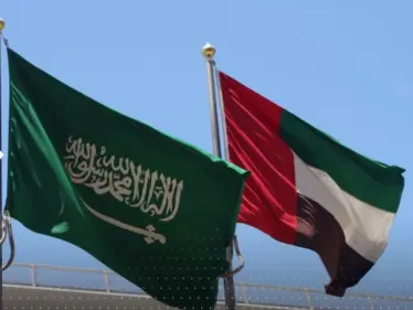 تعليق إماراتي على اللقاء التلفزيوني لولي العهد السعودي مع قناة "فوكس نيوز" - وكالة ستيب نيوز