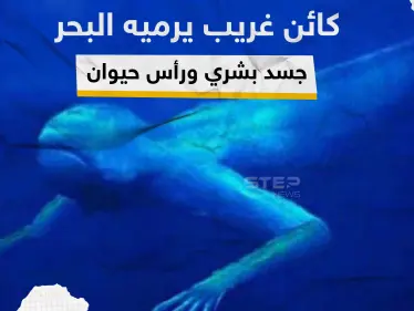 فيديو|| ظهور كائن غريب يمتلك جسم إنسان ورأس كلب في  عمان رماه البحر بعد إعصار شاهين - وكالة ستيب نيوز