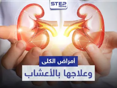 أمراض الكلى الشائعة.. و 8 أعشاب طبيعية لعلاجها - وكالة ستيب نيوز