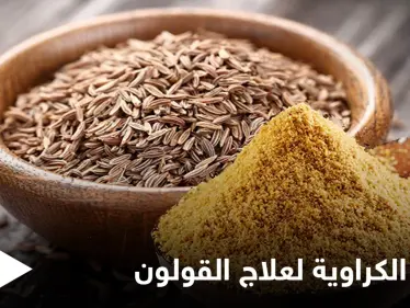 منها تقليل الالتهابات.. تعرف على فوائد الكراوية لتحسين الهضم وعلاج القولون - وكالة ستيب نيوز
