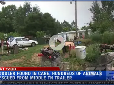 بالفيديو|| طفل صغير محجوز بغرفة فيها حيوانات مفترسة والسلطات تلقي القبض على ذويه - وكالة ستيب نيوز