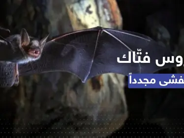 فيروس "فتّاك" يعود من جديد.. الصحة العالمية تؤكد: أول تفشٍ بغينيا الاستوائية - وكالة ستيب نيوز