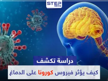 دراسة تكشف كيف يؤثر فيروس 