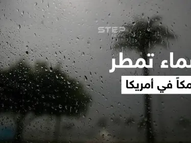 شاهد|| مدينة أمريكية تشهد ظاهرة غريبة مع نهاية عام 2021.. السماء تمطر أسماكاً مع الأمطار وتملأ الشوارع (فيديو) - وكالة ستيب نيوز