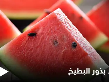 لن ترمي البذور بعد اليوم.. فوائد كثيرة لبذور البطيخ تعرف عليها - وكالة ستيب نيوز
