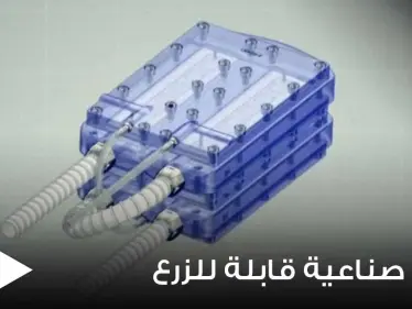 اختراع علمي مذهل.. علماء يبتكرون أول كلية صناعية قابلة للزرع قد تكون طوق النجاة - وكالة ستيب نيوز