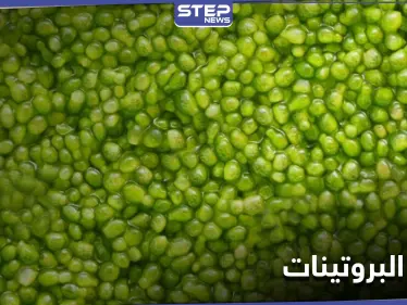 الكافيار الأخضر...نبتة الولفيا بديل ثوري عن البروتينات الحيوانية والأسرع نمواً على سطح الأرض - وكالة ستيب نيوز