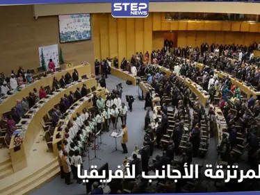 مجلس السلم والأمن الإفريقي يصدر قراراً حول "المرتزقة الأجانب" والدول الداعمة لهم في ليبيا - وكالة ستيب نيوز
