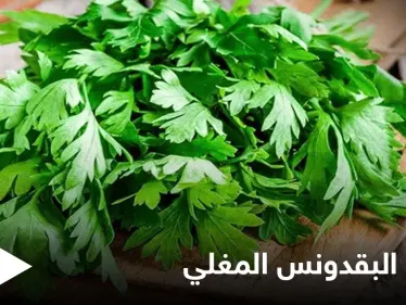 منها علاج الفقر الدم.. فوائد كثيرة لشرب البقدونس المغلي قبل النوم تعرف عليها - وكالة ستيب نيوز