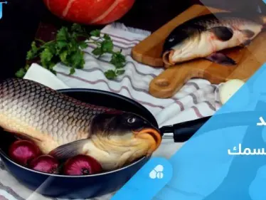 لتعزيز صحة القلب وجهاز المناعة.. تعرف على فوائد السمك - وكالة ستيب نيوز