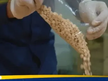 السعودية.. إحباط تهريب نحو 48 ألف حبة كبتاغون واعتقال 4 متورطين - وكالة ستيب نيوز