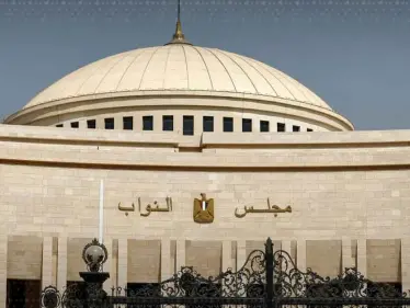 إلغاء نتائج دوائر جديدة في انتخابات مصر - وكالة ستيب نيوز