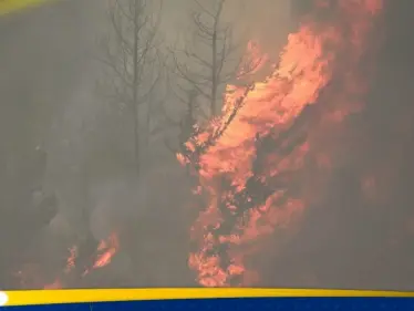 إسرائيل تدخل حالة الطوارئ مع استمرار حرائق جبال القدس - وكالة ستيب نيوز