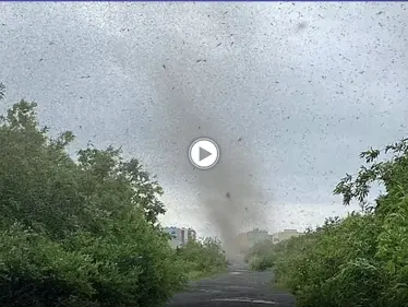 بمشهد مرعب.. إعصار من البعوض يجتاح قرية شرق روسيا ويحجب أشعة الشمس عنها (فيديو) - وكالة ستيب نيوز