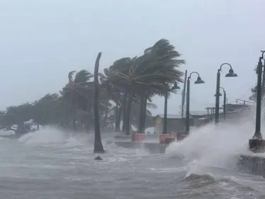 بالفيديو|| إغلاق الطرقات والمطارات وحالة استنفار في عُمان مع وصول الإعصار شاهين - وكالة ستيب نيوز