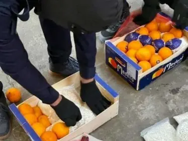 السعودية تُحبط شحنة ضخمة من حبوب الكبتاغون مُخبأة داخل البرتقال - وكالة ستيب نيوز