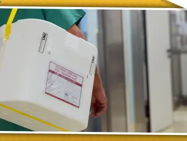 فكرة التبرع بالأعضاء تنتشر بين اللاجئين السوريين في ألمانيا.. والسبب! - وكالة ستيب نيوز