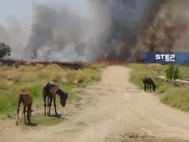 عدسة ستيب ترصد الحرائق في الأراضي الزراعية قرب ناحية الجرنية غرب الرقة - وكالة ستيب نيوز