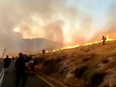 حريق ضخم على حدود الأردن وإسرائيل قرب خط الغاز يهدد بكارثة - وكالة ستيب نيوز