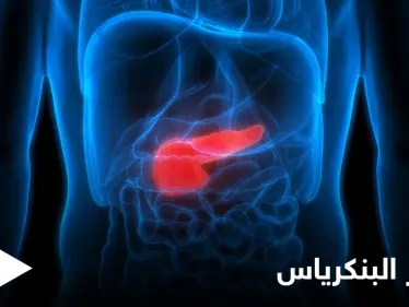 خطورة قصور البنكرياس وآثاره الصحية وطرق العلاج إليك أهم المعلومات - وكالة ستيب نيوز