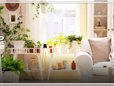 بـ النباتات.. أدخلي السرور لمنزلك وارفعي معنويات عائلتك - وكالة ستيب نيوز