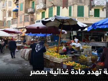 "مشكلة خطيرة" في مصر قد تؤدي لاختفاء البيض.. ومسؤول يحذر - وكالة ستيب نيوز