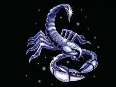 مميزات وعيوب برج العقرب المرأة والرجل - وكالة ستيب نيوز