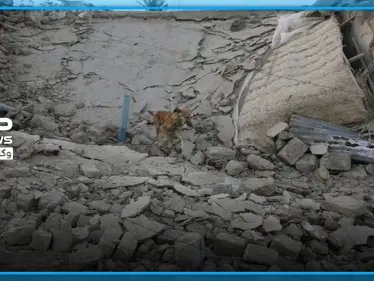 عقب أيام من زلزال تركيا.. زلزال يضرب الجهة الجنوبية الغربية لإيران - وكالة ستيب نيوز