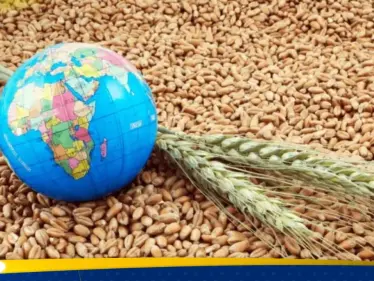 تحذيرات أممية: النزاع في إيران يُنذر بكارثة غذائية عالمية تتجاوز تداعيات حرب أوكرانيا - وكالة ستيب نيوز