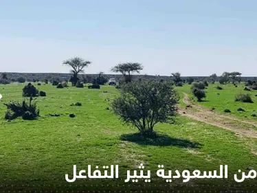 شاهد|| فيديو من السعودية يثير التفاعل ويعيد تداول حديث للنبي الكريم عن قيام الساعة - وكالة ستيب نيوز