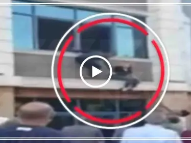 امرأة تركية تقفز من نافذة مكتبها لاعتقادها بوجود زلزال (فيديو) - وكالة ستيب نيوز