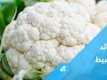 القرنبيط.. فوائد وقيم غذائية عدة تعرف عليها - وكالة ستيب نيوز