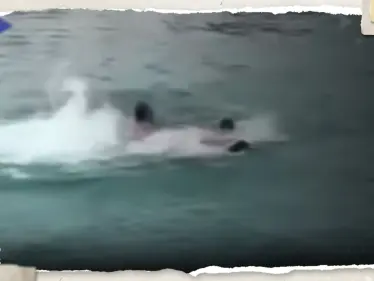 "لحظات رعب لا توصف".. عائلة مصرية كانت قرب القرش القاتل تروي تفاصيل تحبس الأنفاس - وكالة ستيب نيوز