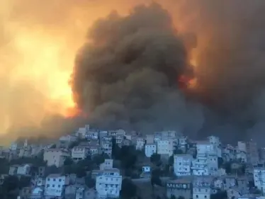 بالفيديو|| لحظات مروعة يعيشها سكان تيزي وزو.. مع ارتفاع أعداد الضحايا وزير الداخلية الجزائري يؤكد أنها "مفتعلة" - وكالة ستيب نيوز