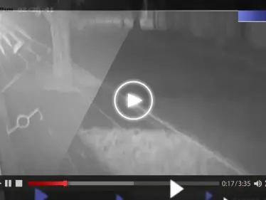 بالفيديو|| لأوّل مرّة منذ 9 سنوات.. زلزال يهز دولة أفريقية بشدة - وكالة ستيب نيوز