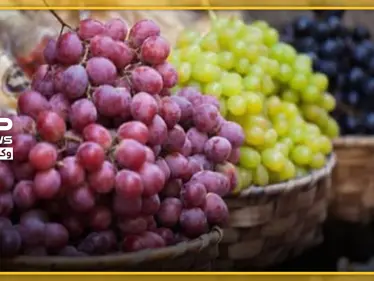 أنواع العنب وفوائده الغذائية المتنوعة وأهميته الصحية - وكالة ستيب نيوز