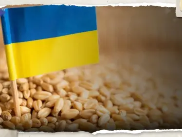 أوكرانيا تقترح على تركيا استمرار صفقة الحبوب بدون روسيا وموسكو ترد - وكالة ستيب نيوز