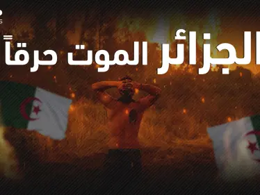 تقف وراءها إيادي إجرامية .. الحرائق تلتهم الجزائر منذ أيام فما هي القصة؟! - وكالة ستيب نيوز