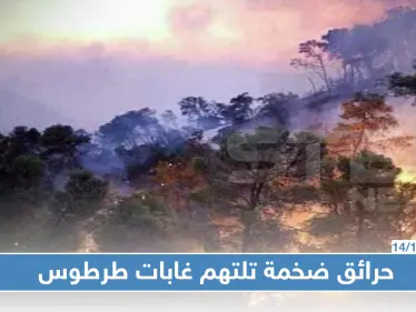 شاهد: قتلى وجرحى في حرائق ضخمة تلتهم غابات طرطوس وسط عجز إطفائيات النظام عن إخماده - وكالة ستيب نيوز