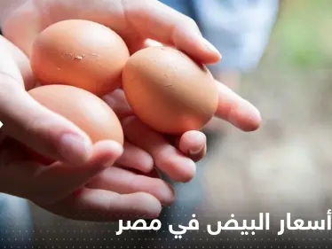 تحذير من أسعار غير متوقعة للبيض في مصر خلال أيام.. والكشف عن أسباب أزمة البن - وكالة ستيب نيوز