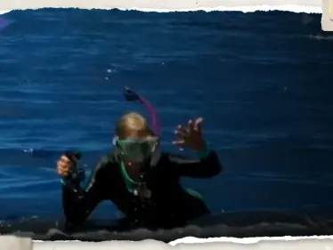 بالفيديو|| حوت أحدب ضخم ينقذ عالمة أحياء من فكّي سمكة قرش بقاع البحر - وكالة ستيب نيوز