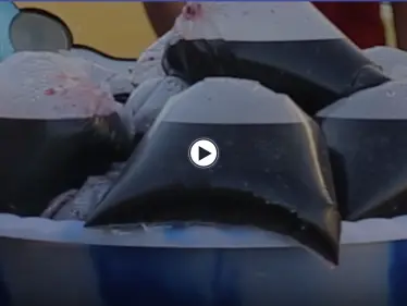 أجواء رمضانية مميزة في مدينة القامشلي بريف الحسكة - وكالة ستيب نيوز