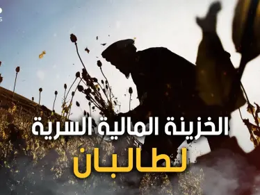 الذهب الأبيض أو النفط الأخضر.. الأفيون تجارة طالبان الرابحة والسلاح الذي تهدد به الغرب - وكالة ستيب نيوز