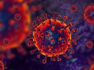 منظمة الصحة العالمية تراقب سلالة جديدة من متحور دلتا تضم 3 متحورات - وكالة ستيب نيوز