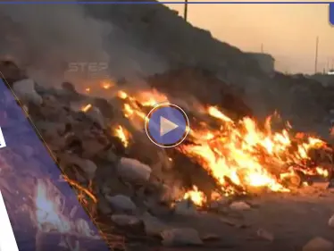 بالفيديو|| بظاهرة غير مألوفة.. الأفاعي والعقارب تهاجم أحد الأحياء بالسعودية وتتسب بحالة هلع بين الأهالي - وكالة ستيب نيوز