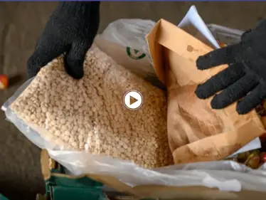 بالفيديو|| سوري وأردني يدخلان شحنة عنب إلى السعودية مليئة بالمخدرات.. وعملية أمنية تحبطها - وكالة ستيب نيوز