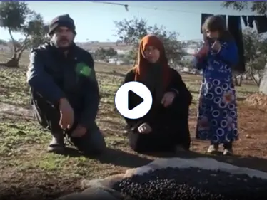 بالفيديو|| "يارب تمطر علينا خبز وطحين".. على الحدود التركية في منفى الوطن تعيش أتعس عائلة نازحة - وكالة ستيب نيوز