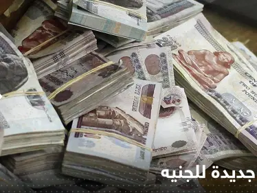 خسائر جديدة للجنيه.. ودولة عربية تكشف مخاوفها حول خطر اقتصادي كبير في مصر - وكالة ستيب نيوز